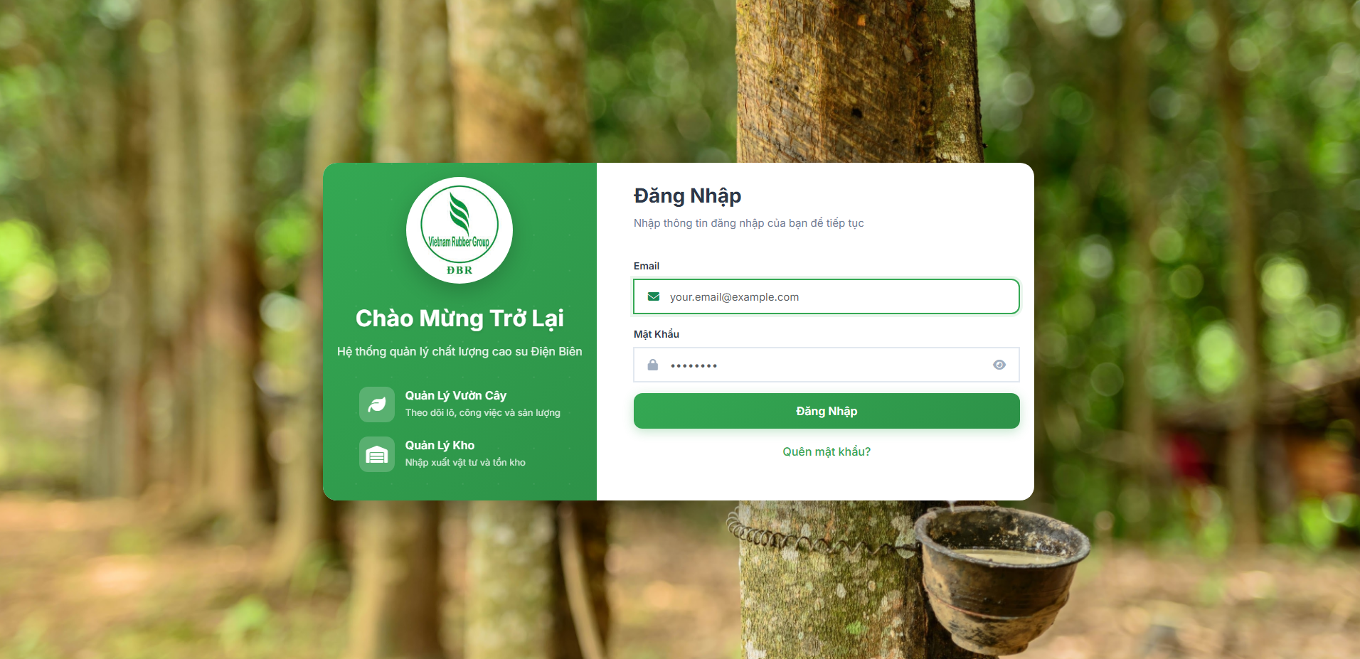 HỆ THỐNG QUẢN LÝ CHẤT LƯỢNG CAO SU ĐIỆN BIÊN